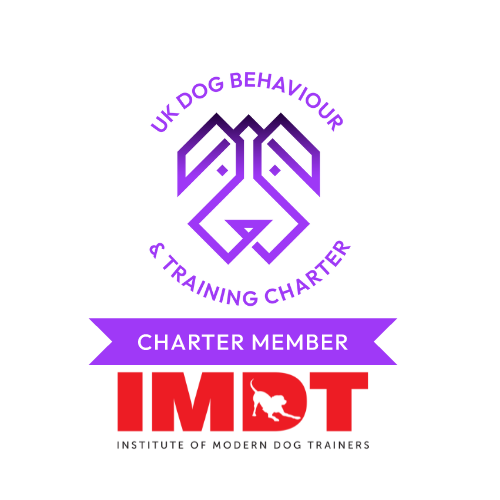 IMDT dog charter